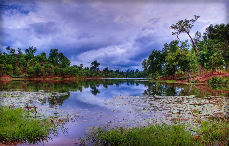 Lawachara National Park